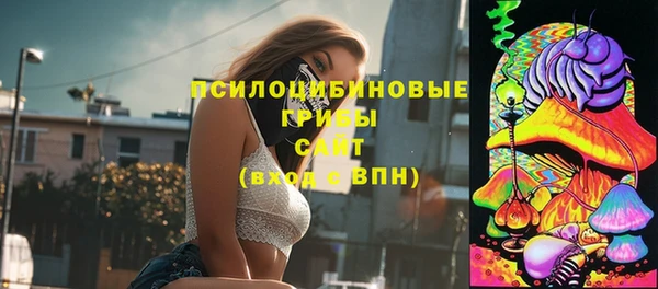 дживик Алзамай