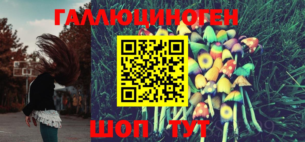 Псилоцибиновые грибы Cubensis Лабинск